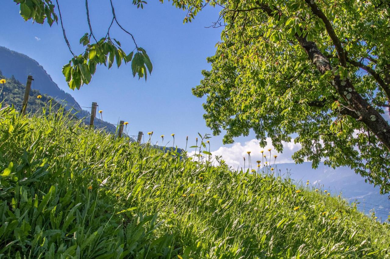 Ferienwohnung Pinot Merano Exterior photo